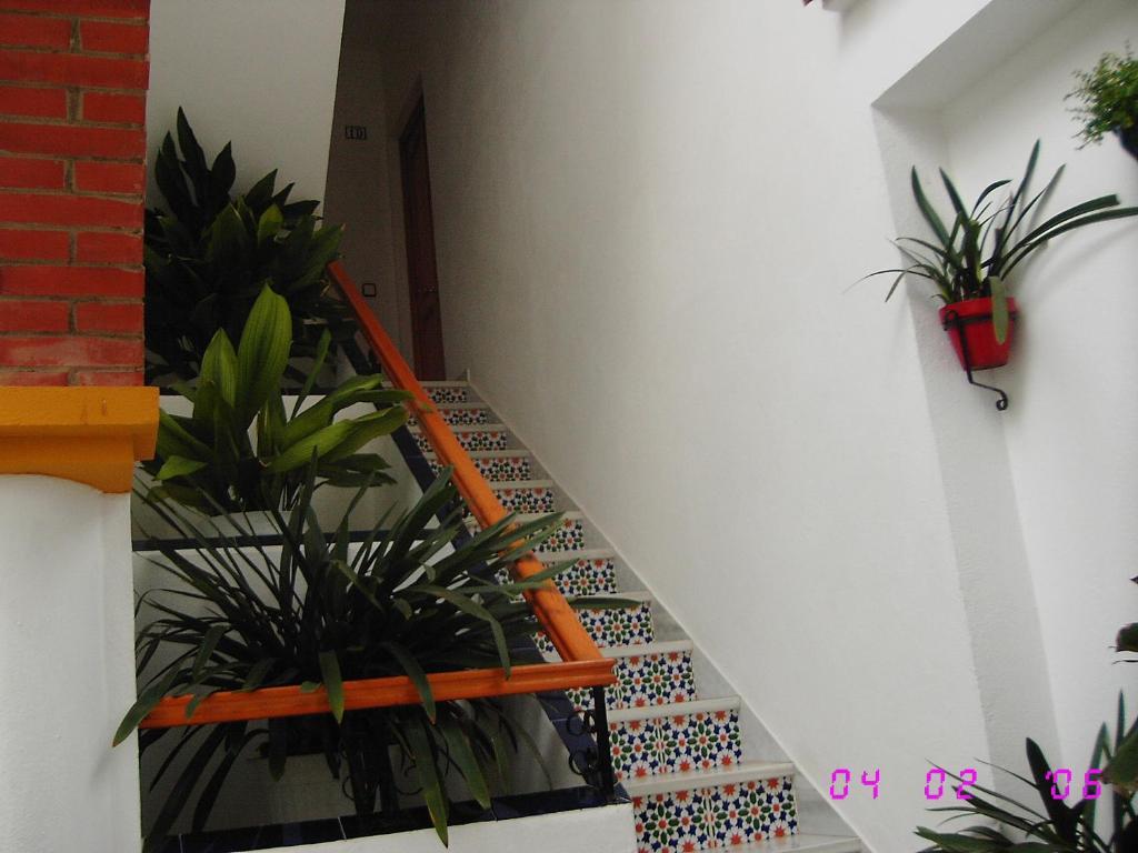 Apartamentos Los Arcos El Bosque (Cadiz) Quarto foto